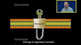 Introduction to Pharmacology [upl. by Ymrots394]