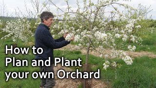 How to Plan and Plant your own Orchard [upl. by Egoreg238]