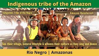 Brazil Travel  Indigenous tribe of the Amazon [upl. by Enirahtac284]