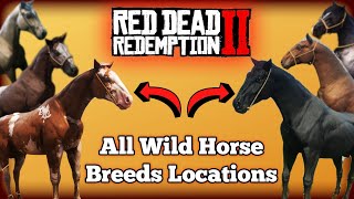 All Wild Horse Breed Locations in Red Dead Redemption 2 [upl. by Trixy]