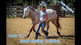 How To Start Liberty Training With Your Horse Basic Exercises Part 1 [upl. by Eniroc495]