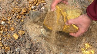 Nearly 70 Kilograms of Gold Nugget Huge Actually [upl. by Dalis]