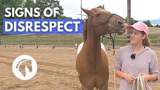 SIGNS A HORSE DOESN’T RESPECT YOU  Horse Behavior Guide [upl. by Franek]