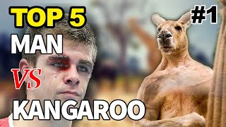 Kangaroo Fights Man  Kangaroo vs Human  Kangaroo Fight  Kangaru 😃 [upl. by Latoye]