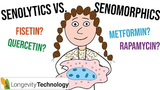 My ultimate guide to senotherapeutics senolytics vs senomorphics [upl. by Oigroig]