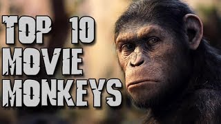 Dark Corners Top Ten Movie Monkeys [upl. by Ramona759]