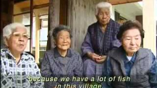 Okinawan Longevity and Health [upl. by Yrem]