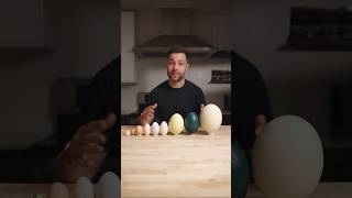 I Cooked the World’s CRAZIEST Eggs [upl. by Raynold]