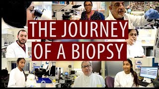 The journey of a biopsy DiscoverPathology [upl. by Einavoj]