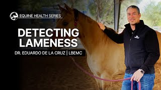 Detecting Lameness in Your Horse [upl. by Yoho]