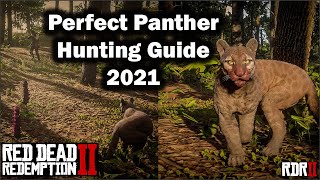 Perfect Panther Hunting guide for beginner in 2021  Red Dead Redemption 2  RDR2 [upl. by Laud]